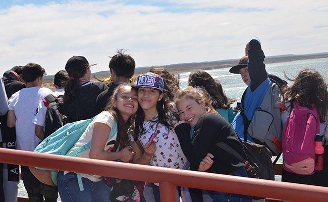 madryn09